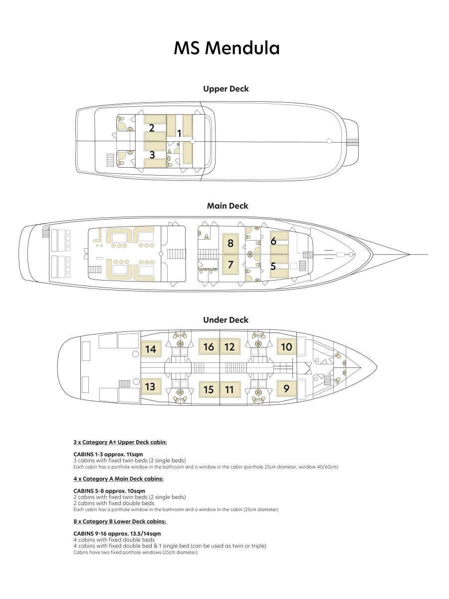 Full-deck plan of the Ms Mendula cruise ship