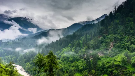 natural scenery of Himalayan river valley during monsoon passing through lush green forest of Himalayan mountain