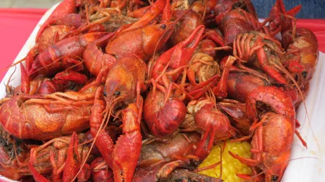 boiled crawfish piled high in a white polystyrene take-out container