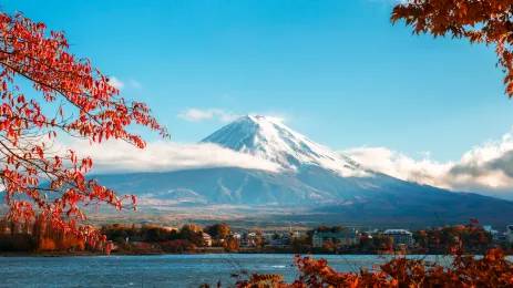 Colourful Autumn trees and a distant view of Mount Fuji, Japan