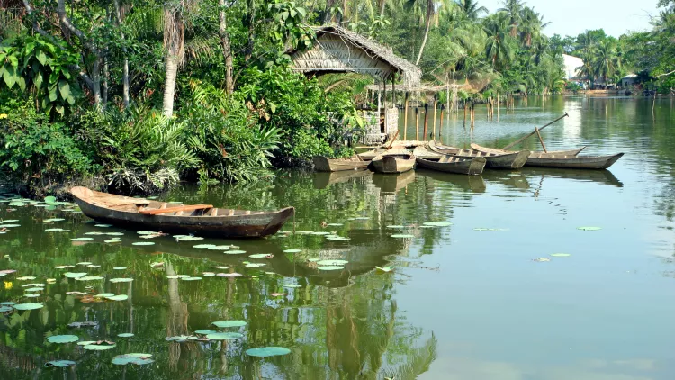 Small wooden boats on the Lotus Lake with lily pads in Mekong