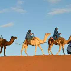 Camel caravan in Morocco