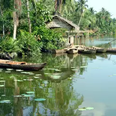 Small wooden boats on the Lotus Lake with lily pads in Mekong