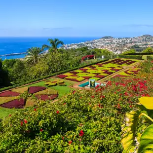 Tropical Botanical Gardens in Funchal town, Madeira island