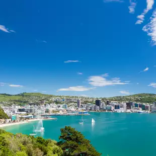 Wellington in New Zealand, during summer.