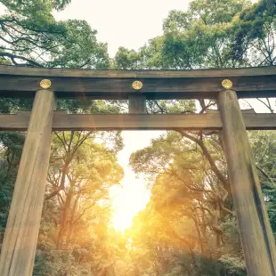 Meiji Shrine at sunset in yoyogi park, Harajuku tokyo