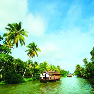 Houseboat cruise through the backwaters, kerala, india. Surrounded by lush vegetation and tall palm trees 