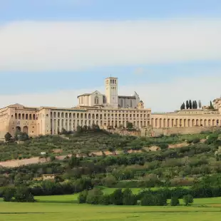 Landscape view of Saint Francis Cathedral surrounded by vegetation in Assisi, Italy.