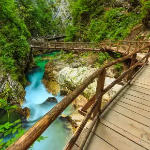 Wooden footpath bridge and green river at the Vintgar Canyon in Slovenia