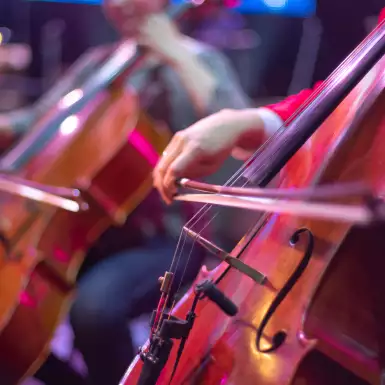 Close-up of a cello at a concert