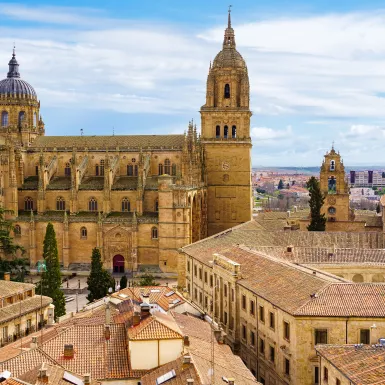 Aerial view of the city of Salamanca with its cathedral emerging from the roofs of the houses