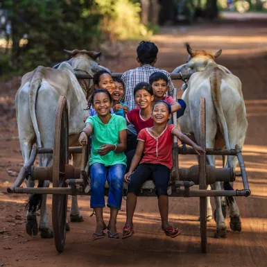 Group of happy Cambodian children riding ox cart in village near Siem Reap, Cambodia