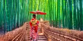 Bamboo Forest. Asian woman wearing japanese traditional kimono at Bamboo Forest in Kyoto, Japan.