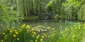 Monet's garden with bridge and lily pond in Giverny, France