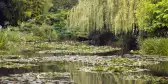 Lily pond at Monet's Garden in Giverny, France