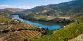 Douro Valley with its river in the middle of the vineyards in Portugal