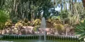 Old cactuses and palms with water fountain at the palm garden in Elche, Spain