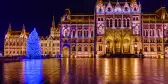 Parliament building and Christmas tree at night in Budapest, Hungary