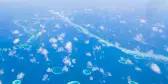 Aerial view on the islands and atoll from above near Mauritius