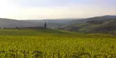 Chianti Vineyard in Tuscany landscape