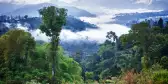 Low cloud in the tropical rainforest in Mindo