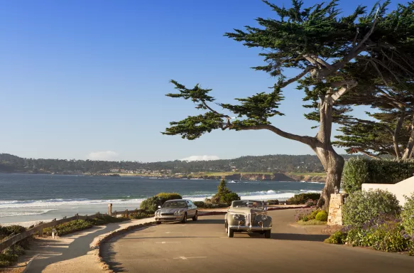 Carmel By The Sea coastal path with trees, ocean and blue skies, California, USA