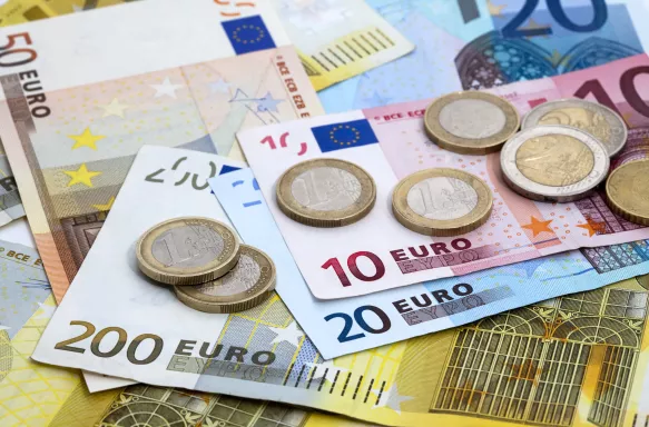 Euro currency notes and coins