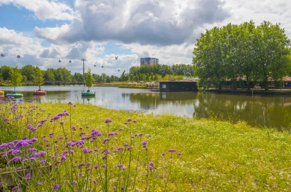 Landscape of flowers, lush trees and a lake with buildings behind.