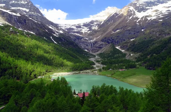 The Bernina Pass with forestry, snowy mountains and a lake in the Swiss Alps