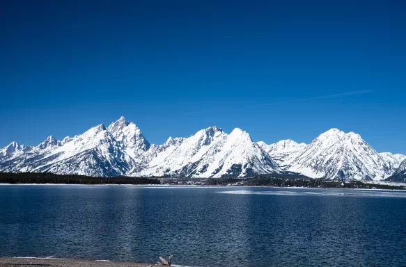 Scenic Jenny Lake with snowy mountains in contrast with the blue lake and sky