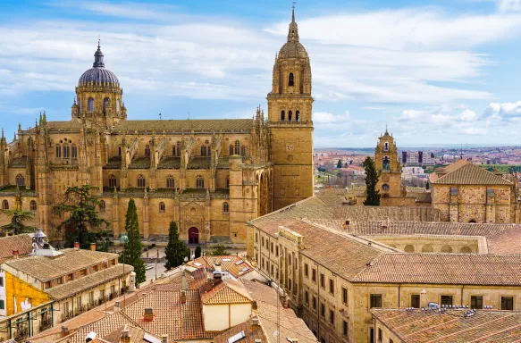 Aerial view of the city of Salamanca with its cathedral emerging from the roofs of the houses