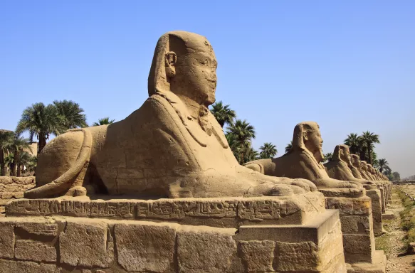 The avenue of sphinxes forming part of Luxor temple in Egypt