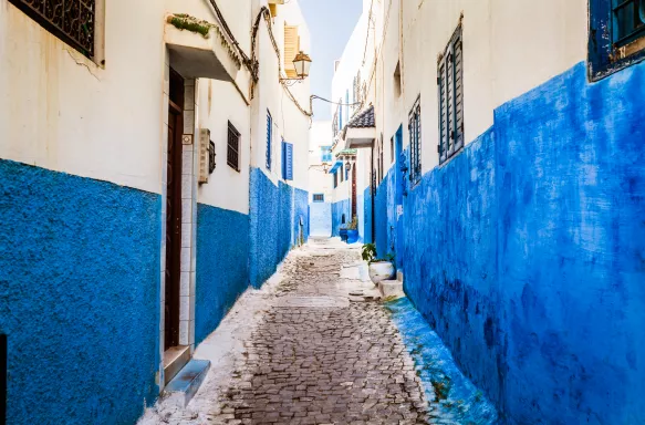 Narrow alley in Rabat Old Medina along a cobblestone pathway, walls painted in a stripe of white and blue, Morocco