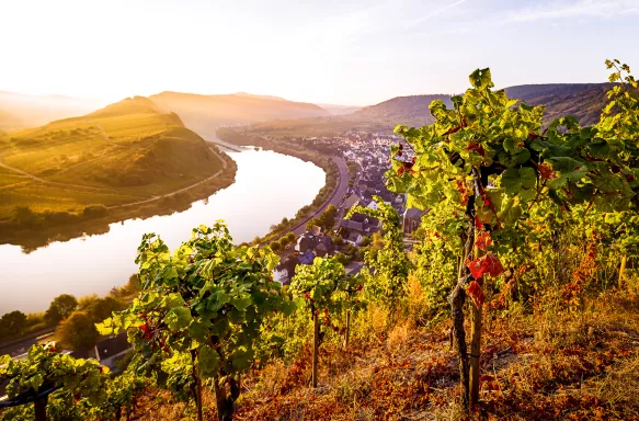 Sunrise at the Moselle river bend over the village Bremm, Germany