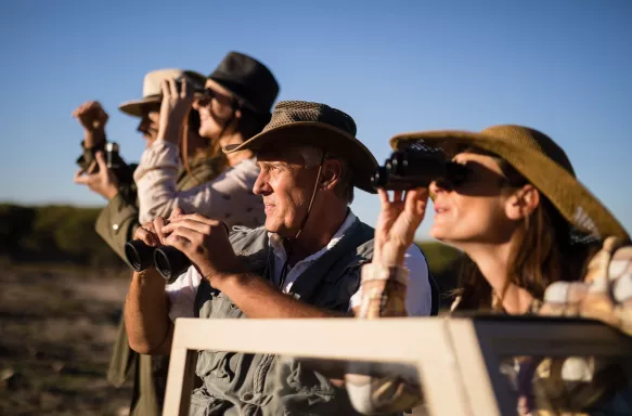 Friends looking through binoculars during safari vacation on a sunny day