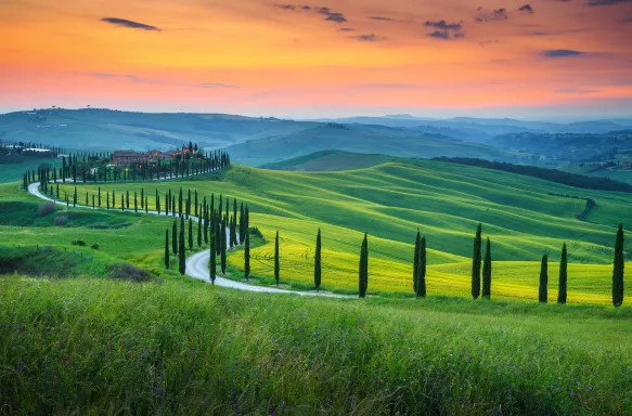 Green grassy hills and curved road of Crete Senesi Asciano in Tuscany