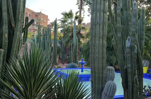 Majorelle Gardens, Marrakech