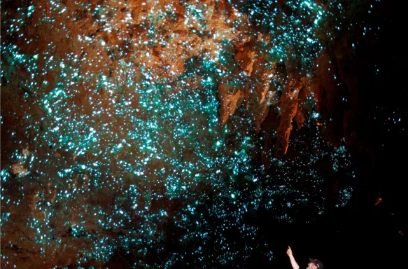 Boat ride through glow worm caves, Waitomo New Zealand