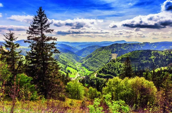 Feldberg Mountain, Germany, with views of distant Hills and Forests under a blue cloudy sky