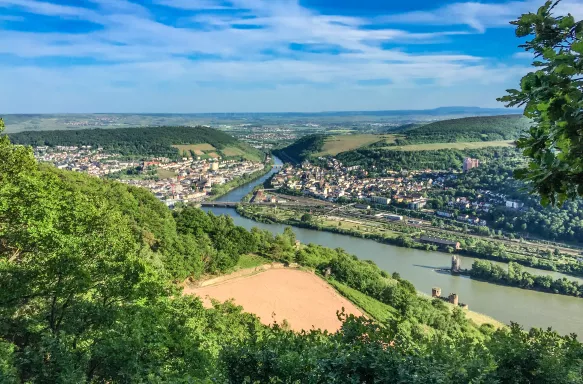 A sunny view of Ruedesheim from the top of nearby hill, Germany