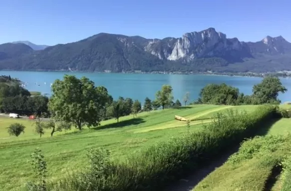 Beautiful scenery along the Danube River with lush landscape and mountains 