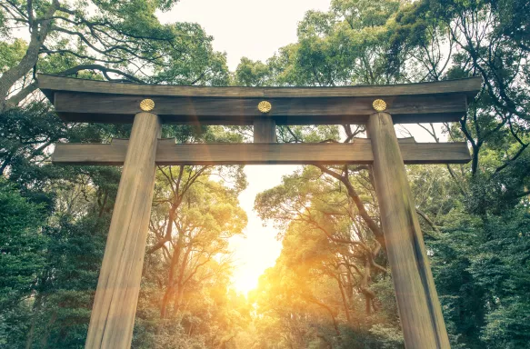 Meiji Shrine at sunset in yoyogi park, Harajuku tokyo