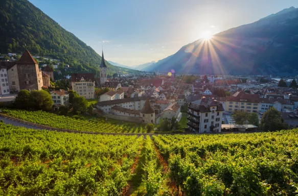 Cityscape image of Chur town and vineyards during sunset in Switzerland