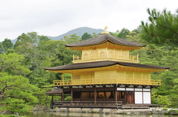 Golden ornate Japanese temple by the waterside and surrounded by green forests, Japan