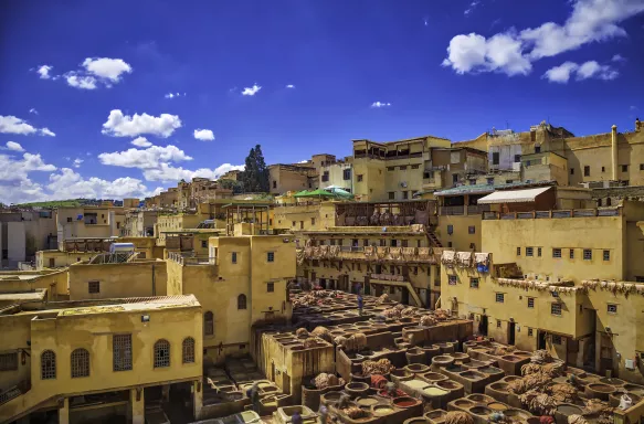 Traditional leather tannery in the medina in Fez, Morocco