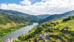 Vineyards and Landscape of the Douro river region in Portugal