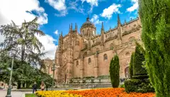 Colourful flowers in front of the Cathedral of Salamanca in Spain