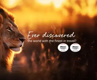 Image of a majestic lion in golden grass with riviera award badges and caption text stating every discovered the world with the best in travel