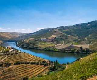 Douro Valley with its river in the middle of the vineyards in Portugal