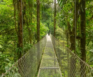 Hanging Bridge at natural rainforest park in Costa Rica